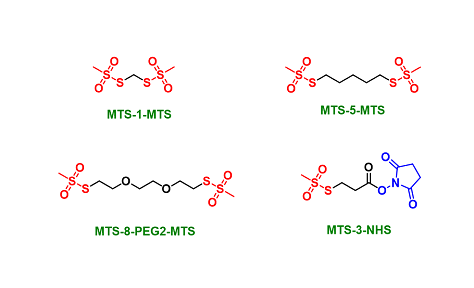 MTS Crosslinkers